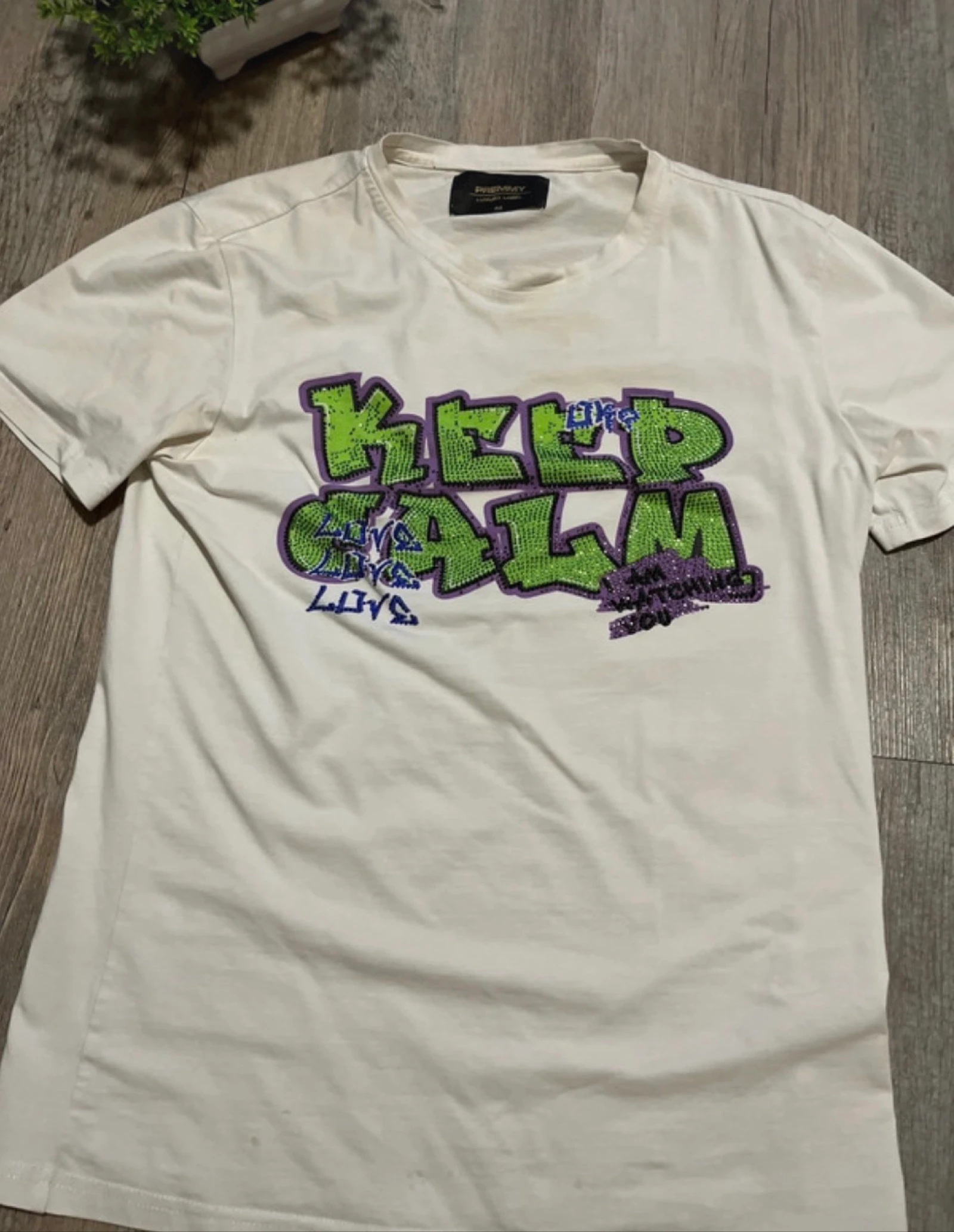 camiseta con pepitas 
